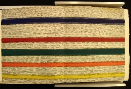 Иллюстрированная Книга Dorazio - New Jersey