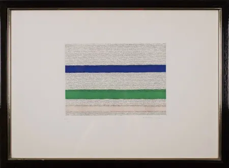 Офорт Dorazio - Untitled