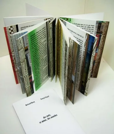 Иллюстрированная Книга Dorny - Des mots, et meme, des mouches 