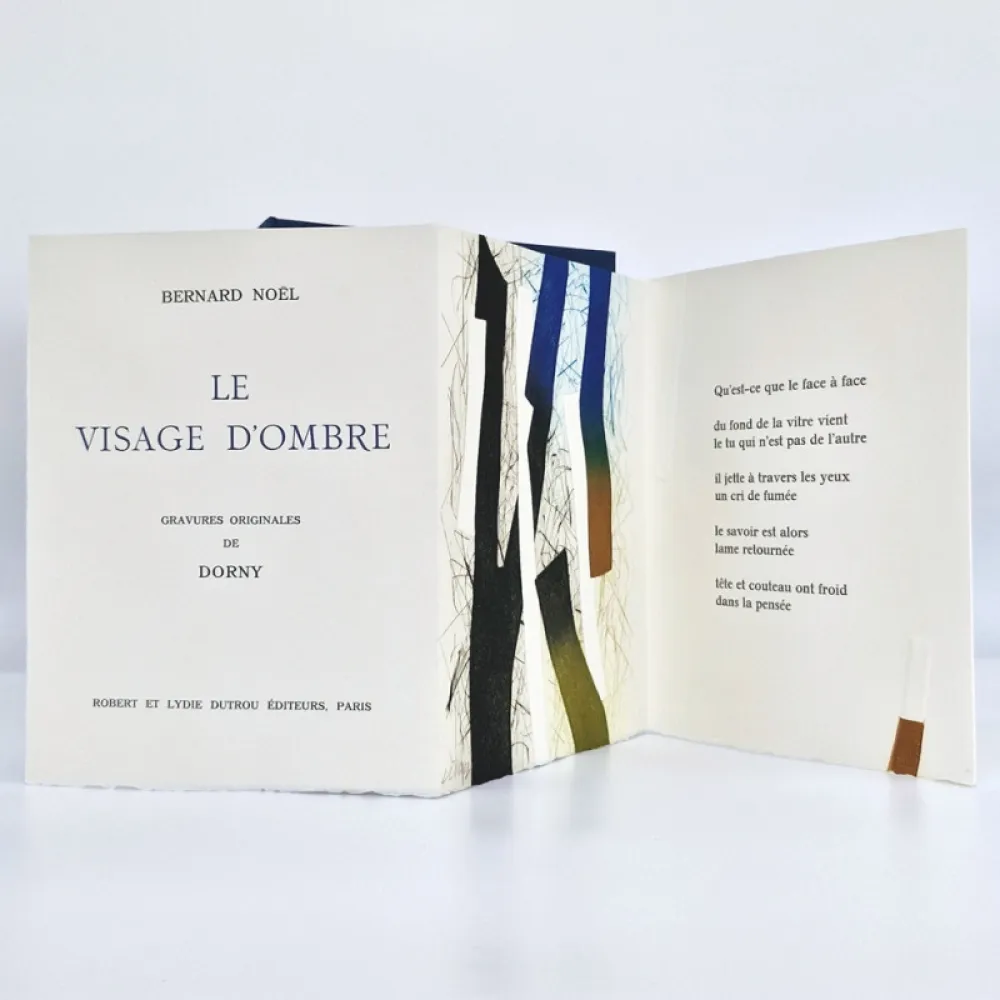 Иллюстрированная Книга Dorny - Le visage d'ombre