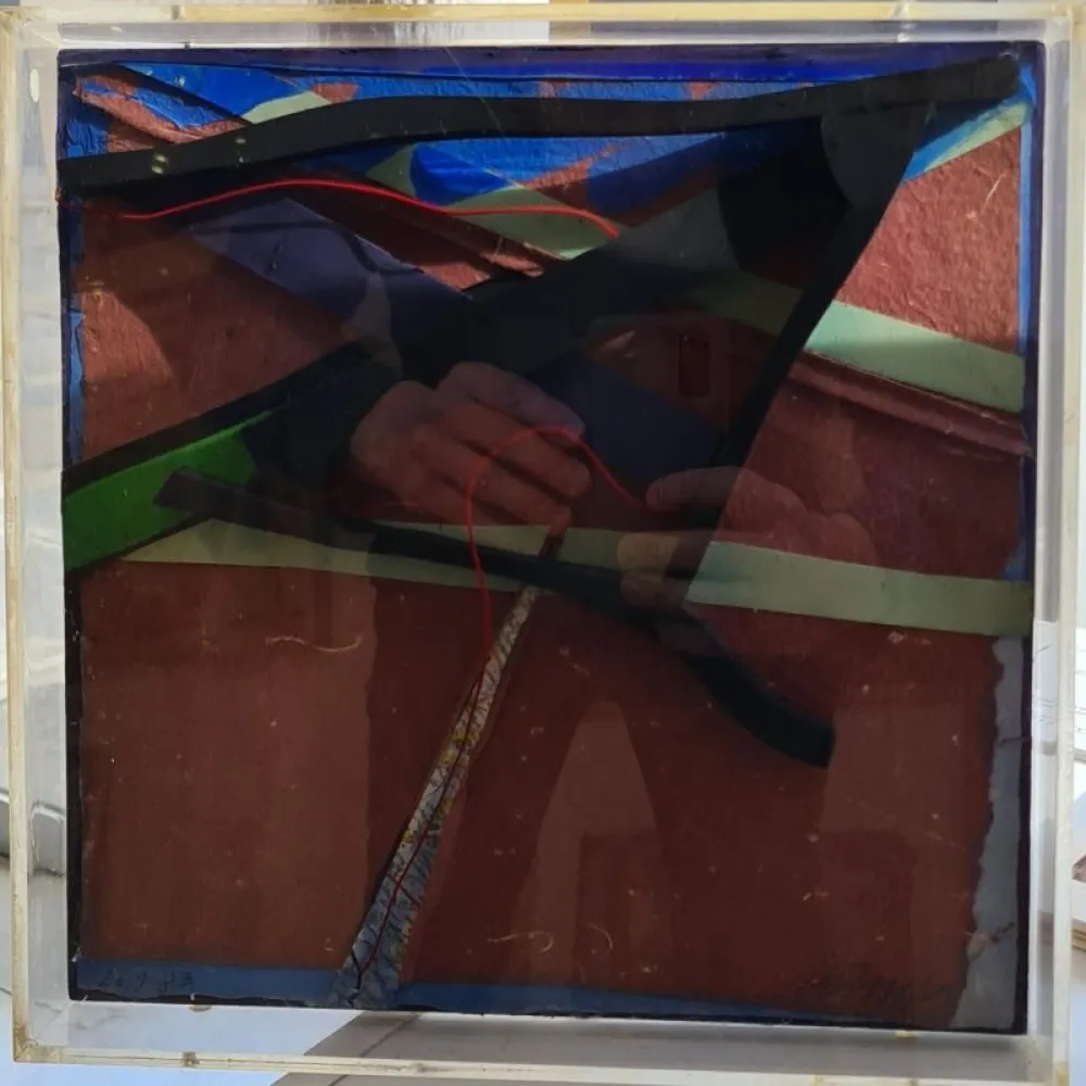 Многоэкземплярное Произведение Dorny - Xylomorphose n°113 