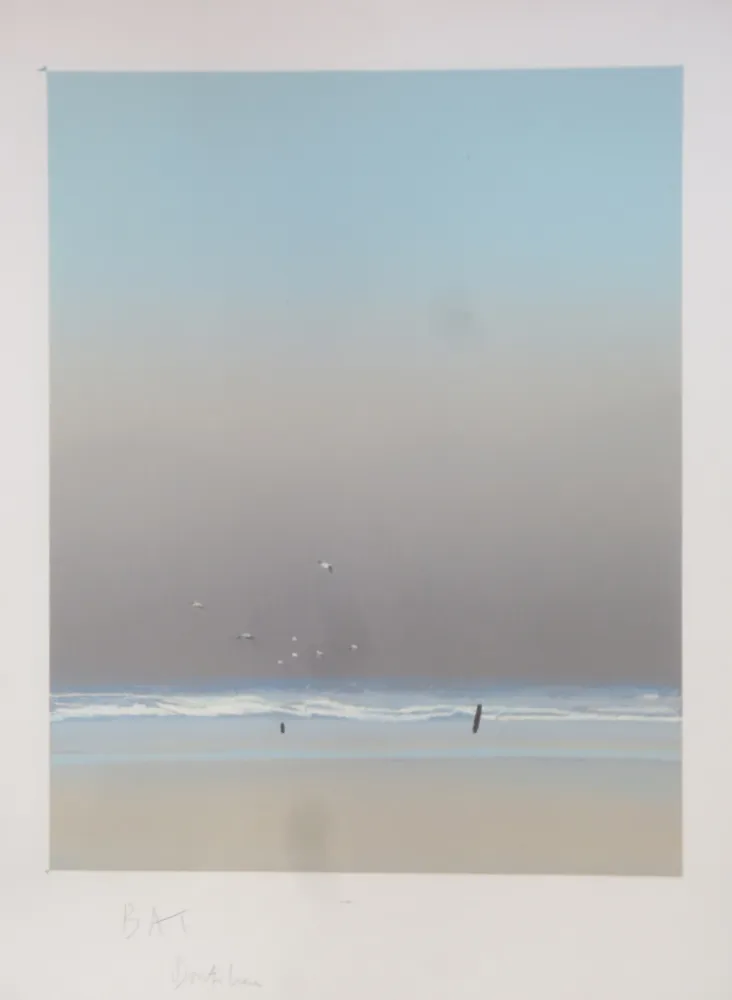 Литография Doutreleau - Les mouettes