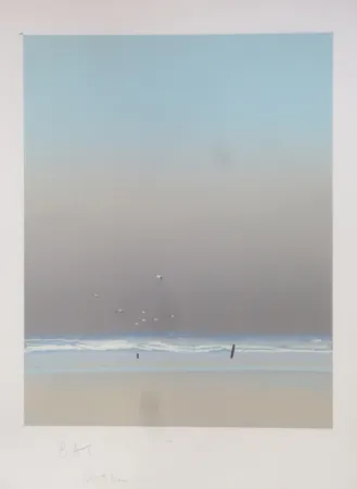 Литография Doutreleau - Les mouettes