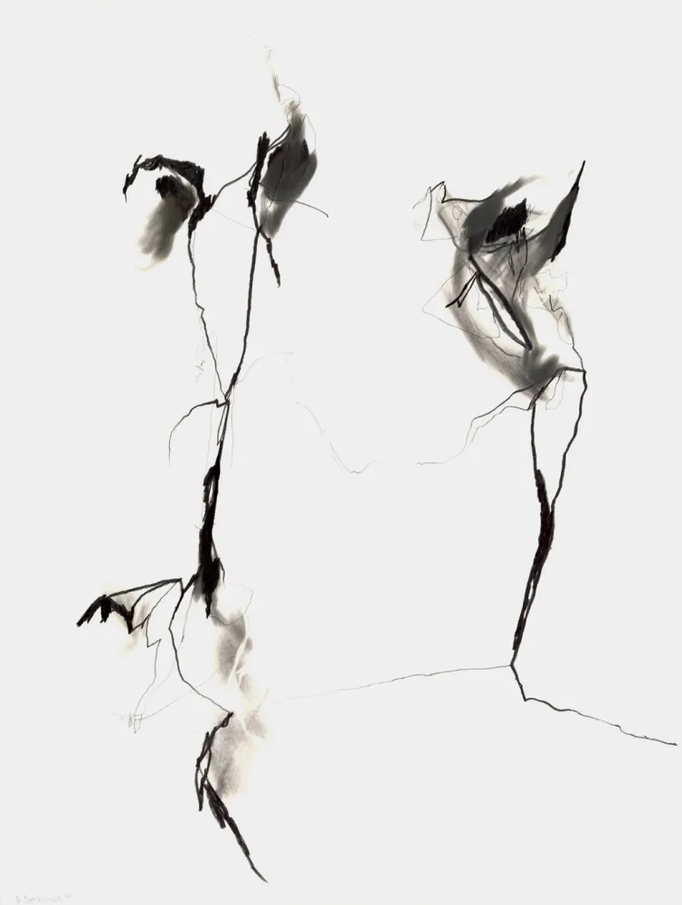 Нет Никаких Технических Drehbusch - Belangloskeiten / Irrelevancies