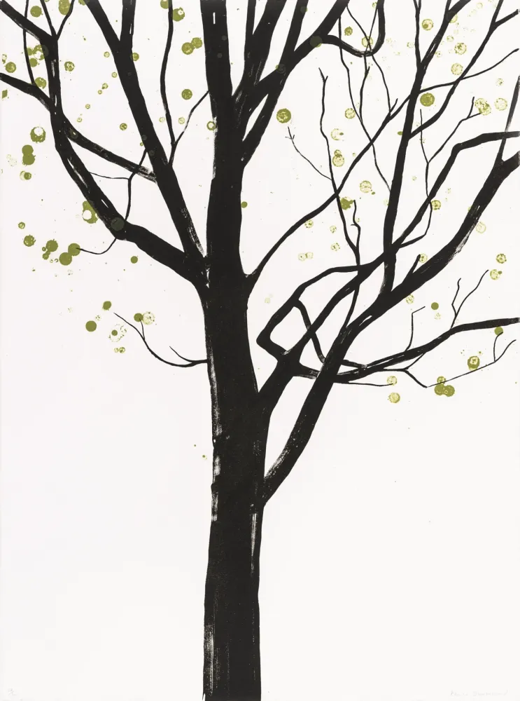 Литография Drummond - Cathedral