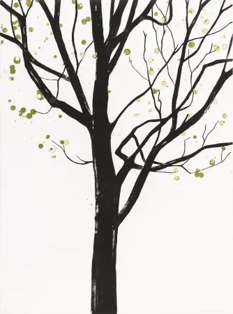 Литография Drummond - Cathedral