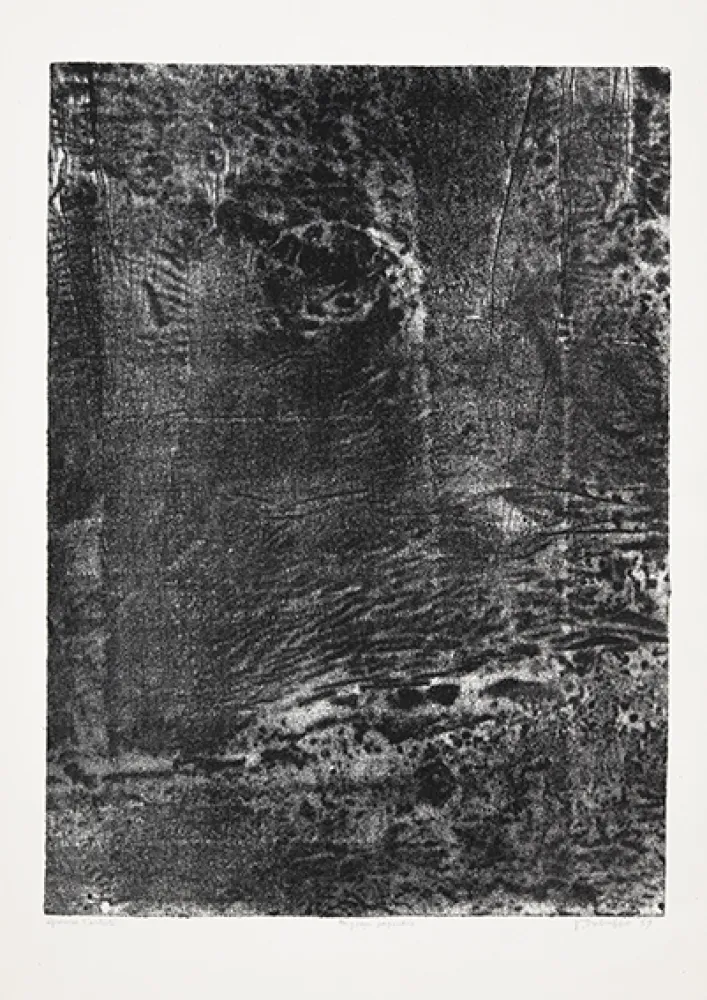 Литография Dubuffet - Paysage japonais