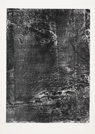 Литография Dubuffet - Paysage japonais