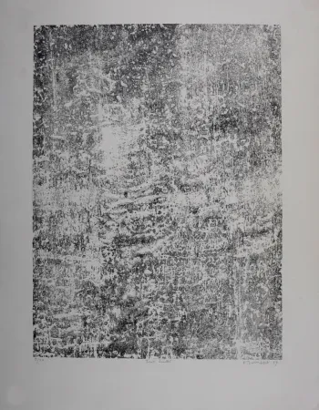 Литография Dubuffet - Texte écaillé, 1959 - Hand-signed