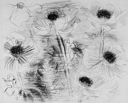 Офорт Dufy - Anemones