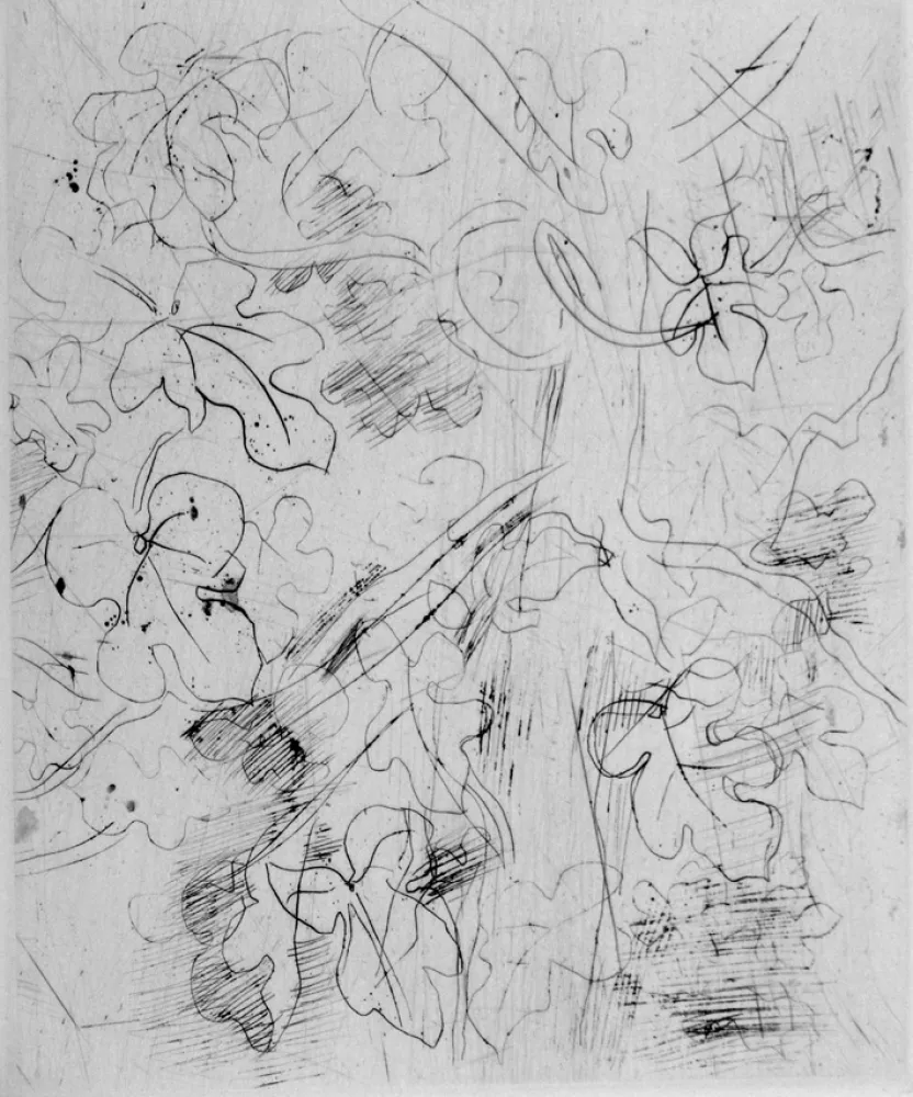 Офорт Dufy - Figuier