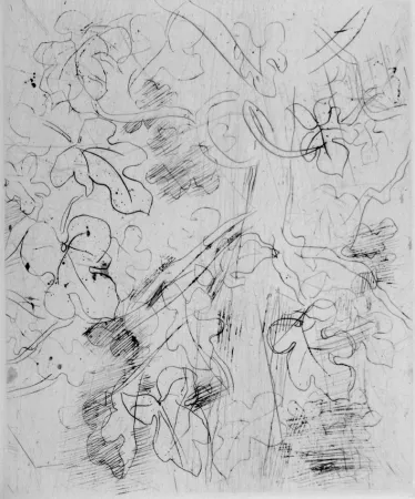 Офорт Dufy - Figuier