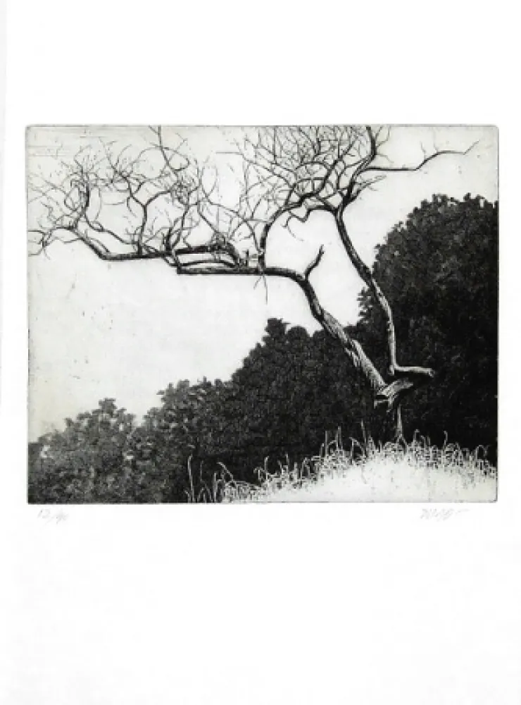 Иллюстрированная Книга Dugo - Poco prima del temporale