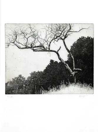 Иллюстрированная Книга Dugo - Poco prima del temporale