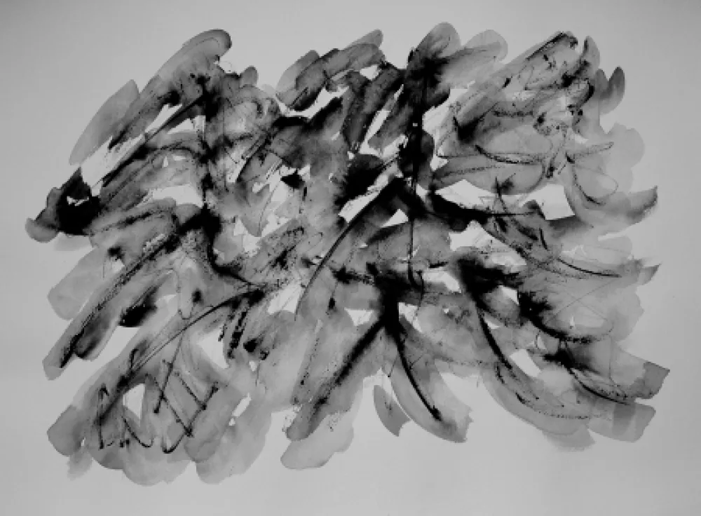 Нет Никаких Технических Dumont - LE VERCORS / THE VERCORS