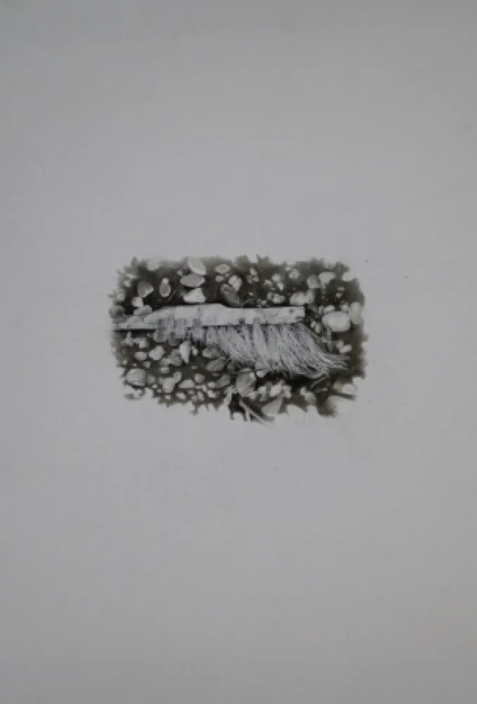 Нет Никаких Технических Ebert - Besen