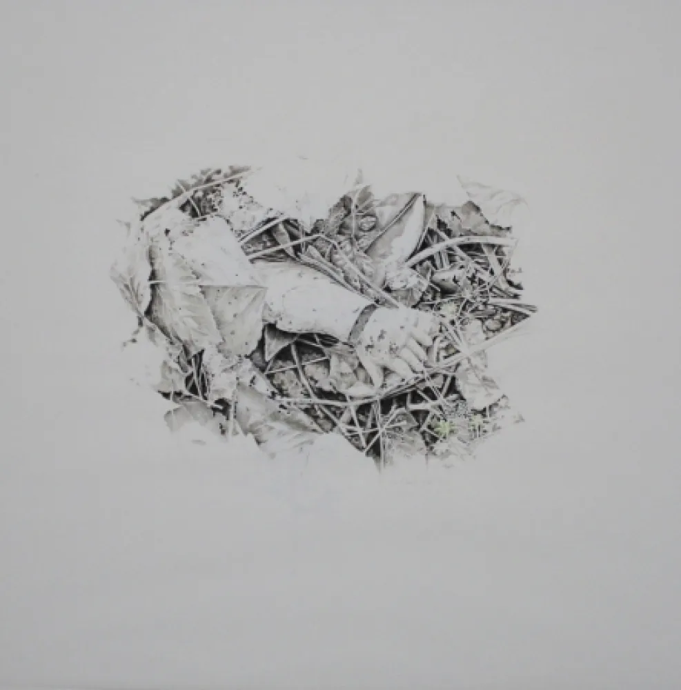 Нет Никаких Технических Ebert - Handschuh / Glove