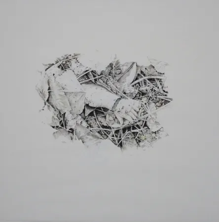 Нет Никаких Технических Ebert - Handschuh / Glove