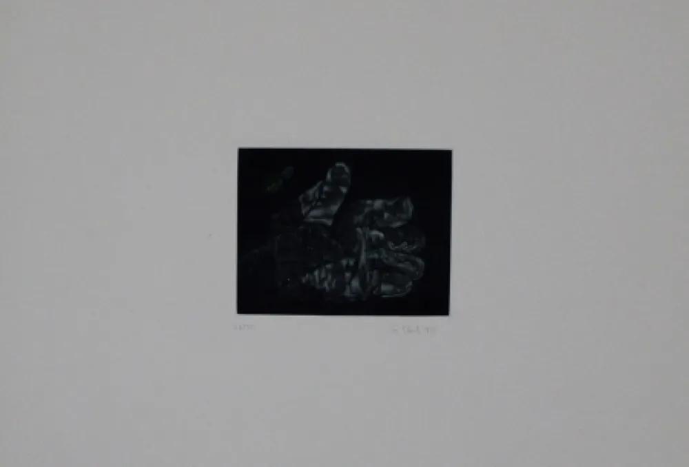 Mezzotint Ebert - Handschuh / Glove