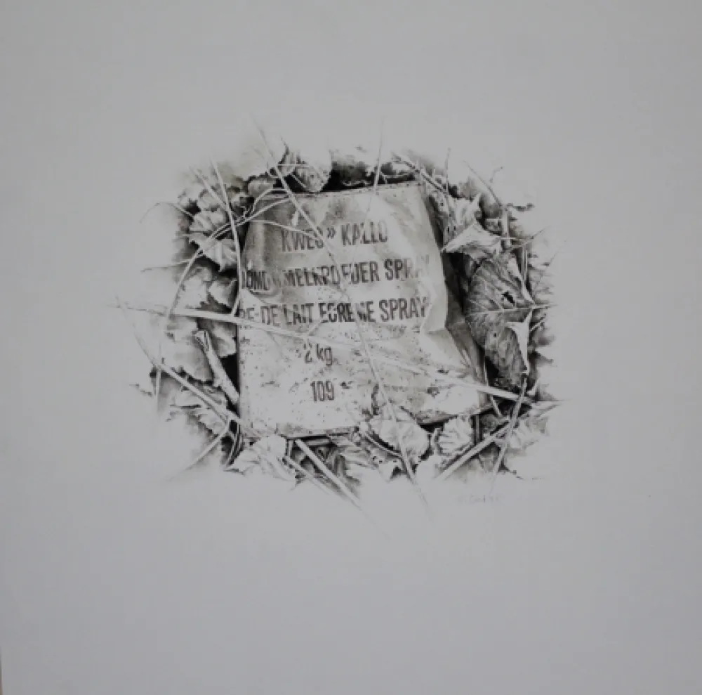 Нет Никаких Технических Ebert - Komposition mit Efeu