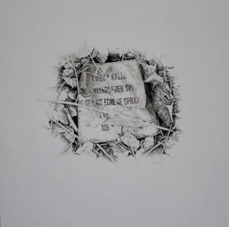 Нет Никаких Технических Ebert - Komposition mit Efeu