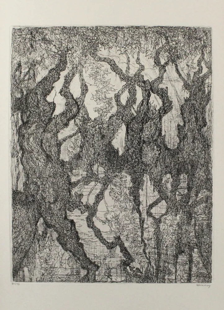 Офорт Eliasberg - Die Platanen des Pelion