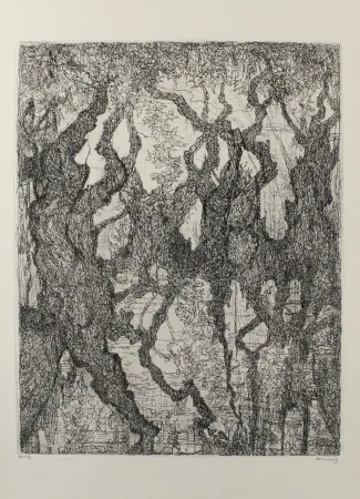 Офорт Eliasberg - Die Platanen des Pelion