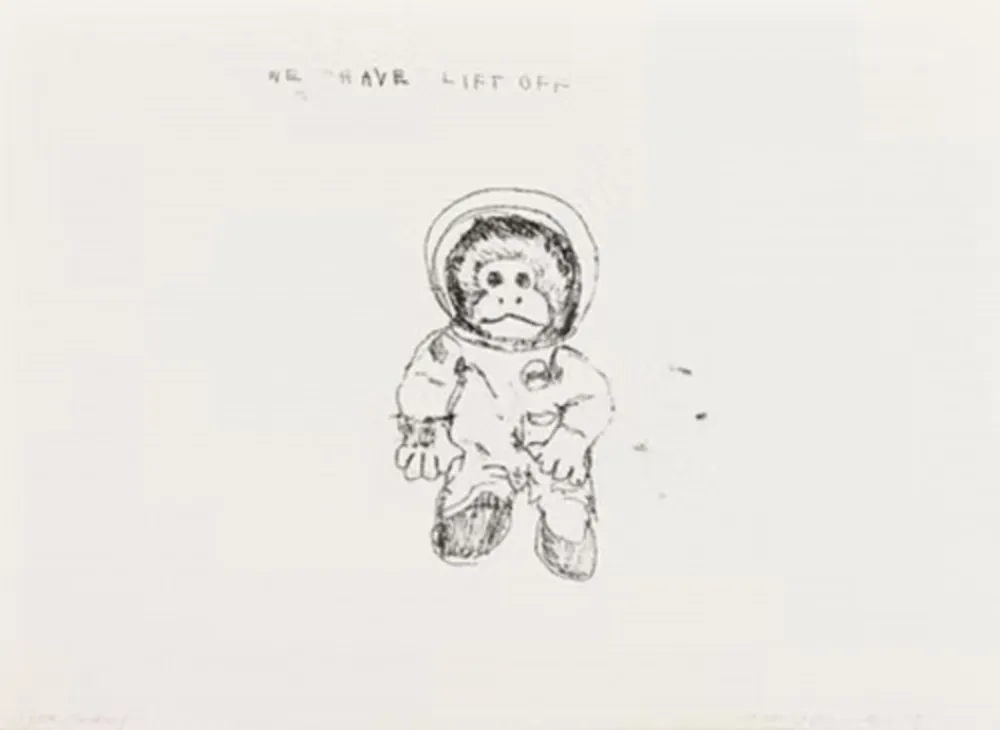 Многоэкземплярное Произведение Emin - Space Monkey