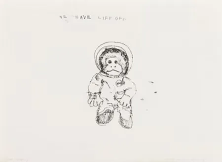 Многоэкземплярное Произведение Emin - Space Monkey