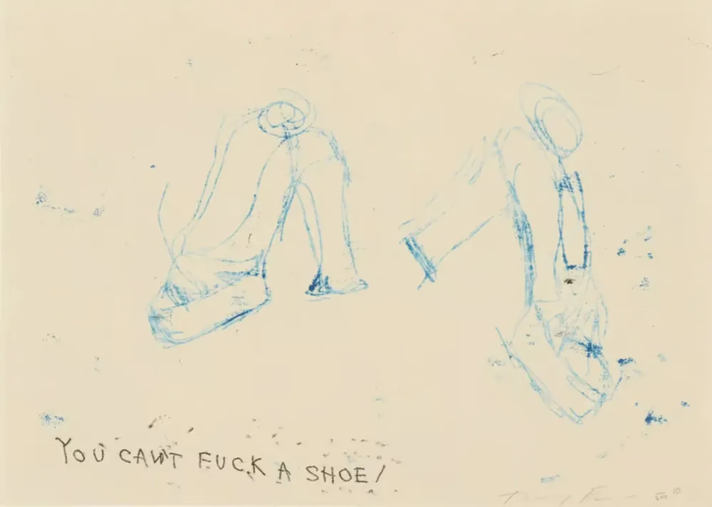 Многоэкземплярное Произведение Emin - You Can't Fuck A Shoe