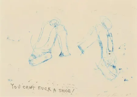 Многоэкземплярное Произведение Emin - You Can't Fuck A Shoe