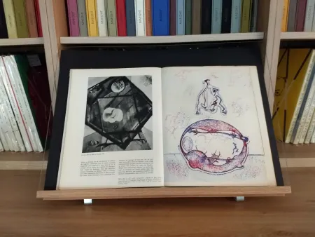 Иллюстрированная Книга Ernst - Hommage