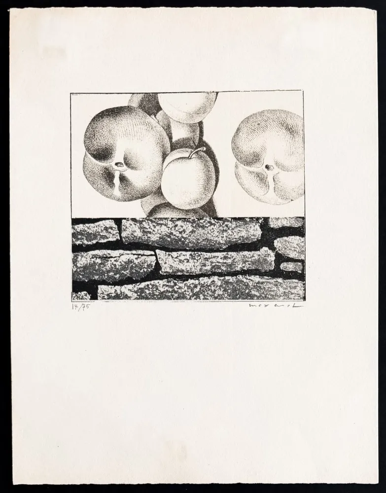 Литография Ernst - Max Ernst (1891–1976) - Fruits défendus - Photolithography on paper - 1968