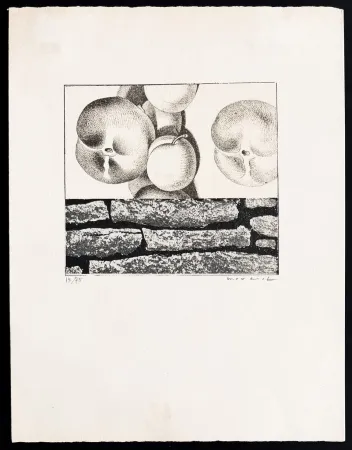 Литография Ernst - Max Ernst (1891–1976) - Fruits défendus - Photolithography on paper - 1968