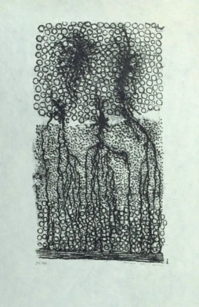 Литография Ernst - Sans titre