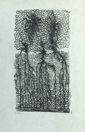 Литография Ernst - Sans titre