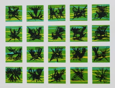 Литография Ernst - Terra Incognita 10