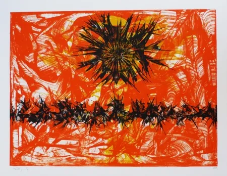 Литография Ernst - Terra Incognita 12