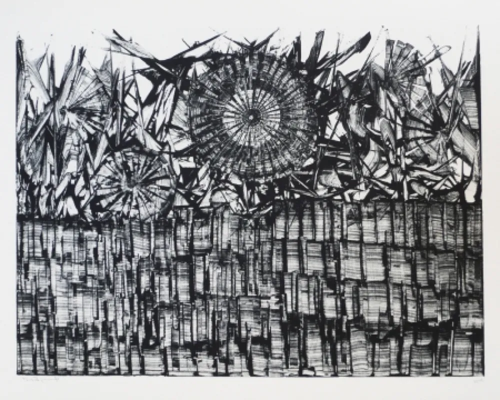 Литография Ernst - Terra Incognita 4