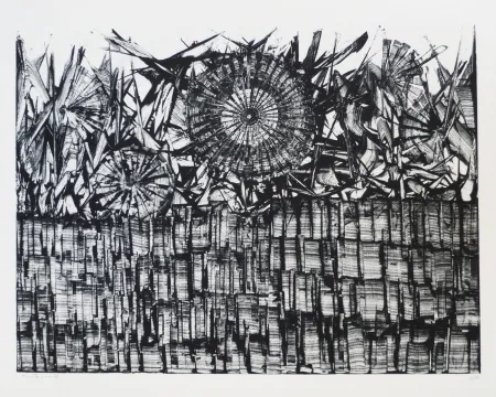 Литография Ernst - Terra Incognita 4