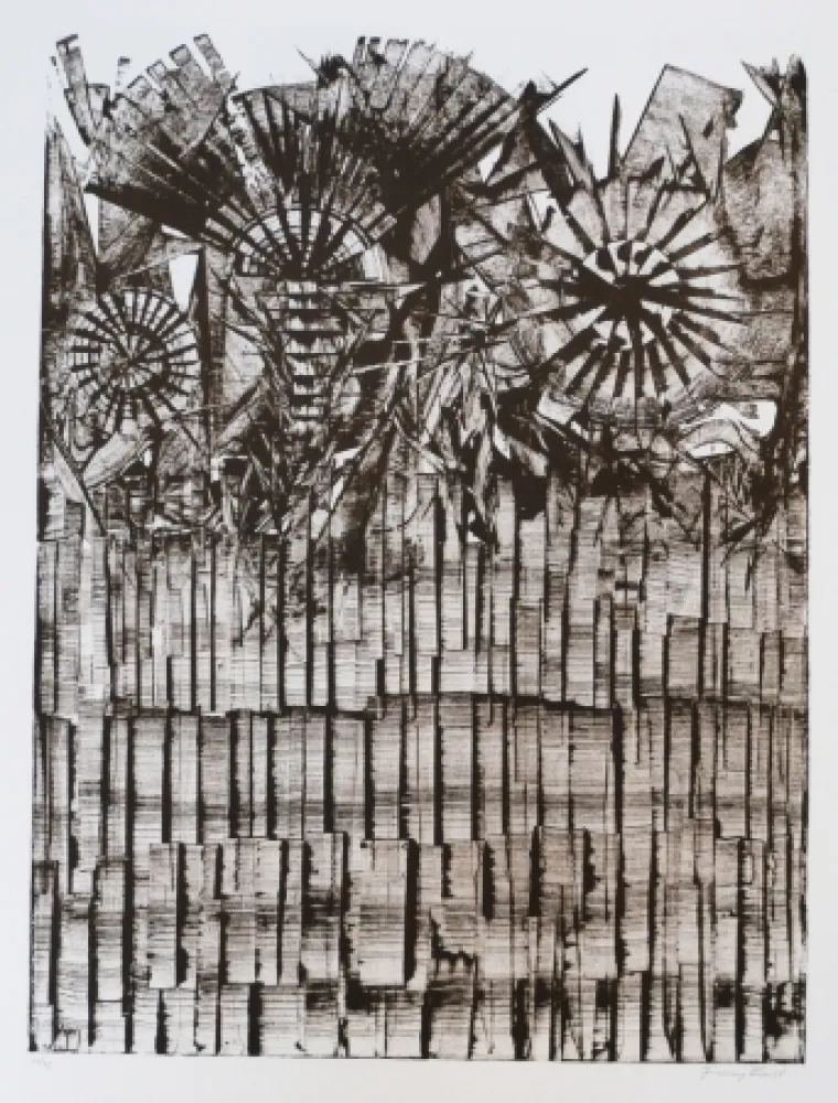 Литография Ernst - Terra Incognita 9