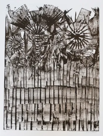 Литография Ernst - Terra Incognita 9