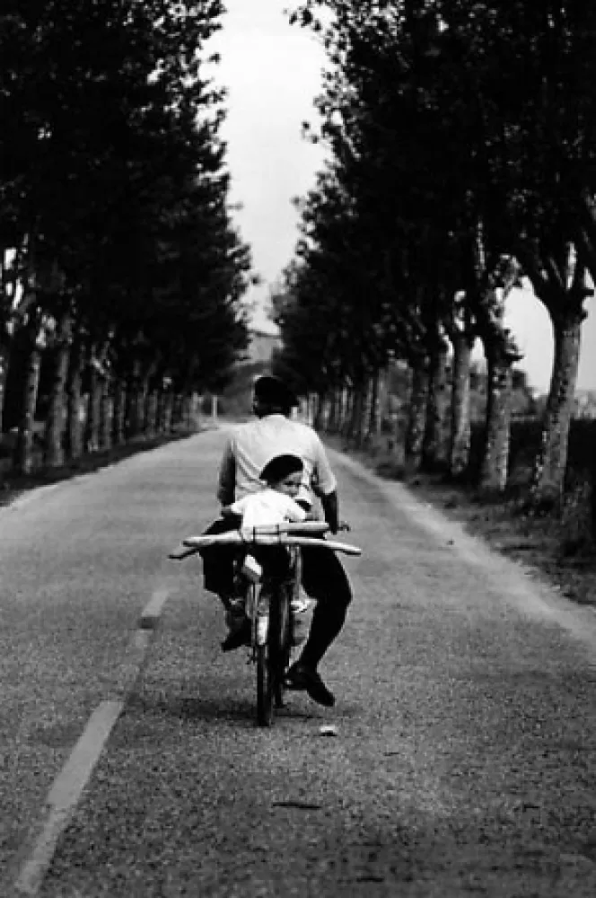 Фотографии Erwitt - Provence