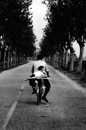 Фотографии Erwitt - Provence