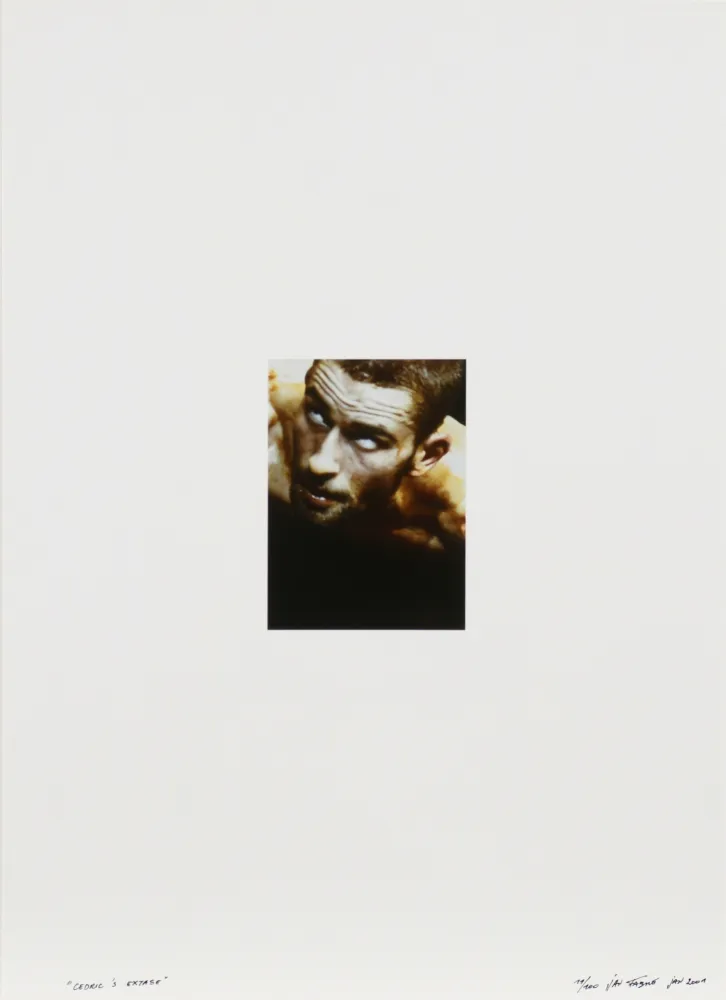 Фотографии Fabre - Cedric's extase