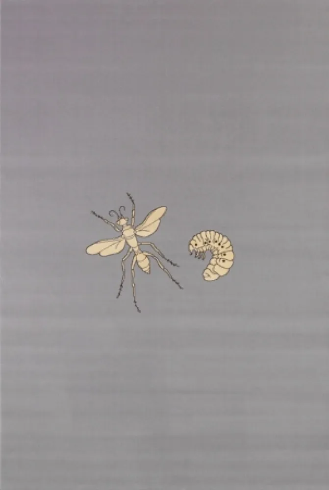 Многоэкземплярное Произведение Fabre - Fly