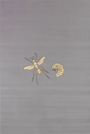 Многоэкземплярное Произведение Fabre - Fly