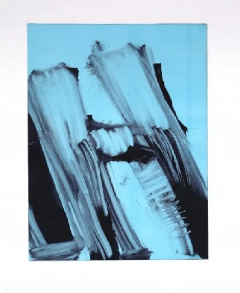 Монотип Faldbakken - Hilux Variations 11