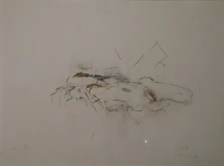 Монотип Falk - (Akt)