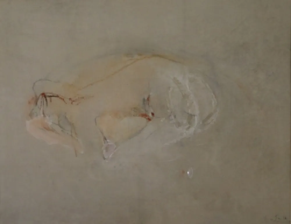 Нет Никаких Технических Falk - (Akt)